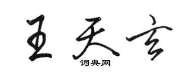 骆恒光王天玄行书个性签名怎么写