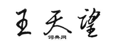 骆恒光王天望行书个性签名怎么写