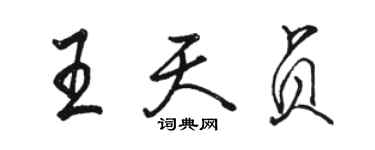 骆恒光王天贞行书个性签名怎么写