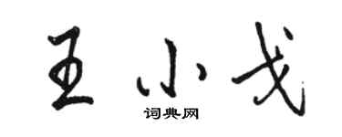 骆恒光王小戈行书个性签名怎么写