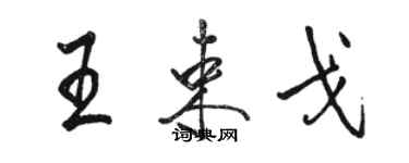 骆恒光王束戈行书个性签名怎么写