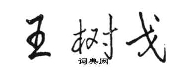 骆恒光王树戈行书个性签名怎么写