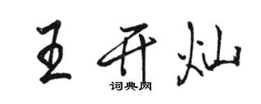 骆恒光王开灿行书个性签名怎么写