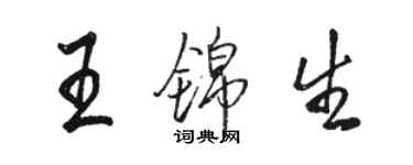 骆恒光王锦生行书个性签名怎么写