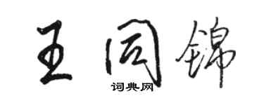 骆恒光王同锦行书个性签名怎么写