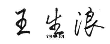 骆恒光王生浪行书个性签名怎么写