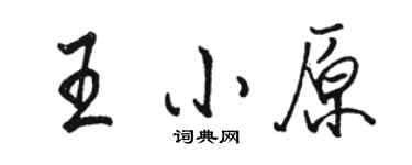 骆恒光王小原行书个性签名怎么写