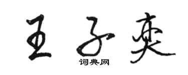 骆恒光王子奕行书个性签名怎么写