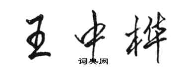 骆恒光王中桦行书个性签名怎么写