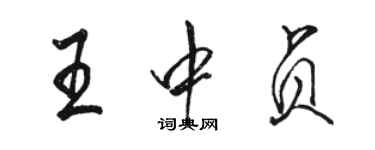骆恒光王中贞行书个性签名怎么写