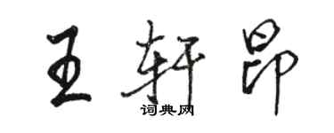 骆恒光王轩昂行书个性签名怎么写
