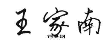 骆恒光王家南行书个性签名怎么写