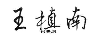 骆恒光王植南行书个性签名怎么写