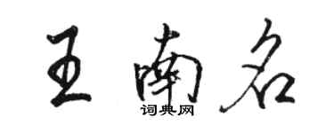 骆恒光王南名行书个性签名怎么写