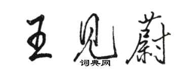 骆恒光王见蔚行书个性签名怎么写