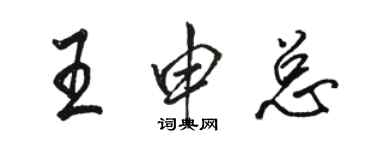 骆恒光王申总行书个性签名怎么写