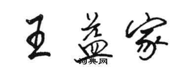 骆恒光王益家行书个性签名怎么写