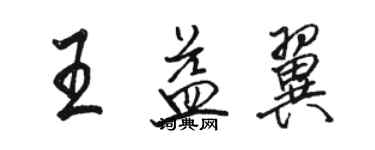 骆恒光王益翼行书个性签名怎么写