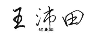 骆恒光王沛田行书个性签名怎么写