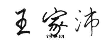 骆恒光王家沛行书个性签名怎么写