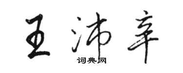 骆恒光王沛辛行书个性签名怎么写