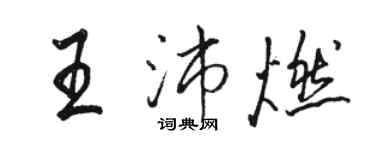 骆恒光王沛燃行书个性签名怎么写
