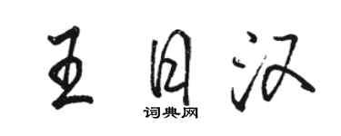 骆恒光王日汉行书个性签名怎么写