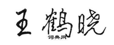骆恒光王鹤晓行书个性签名怎么写