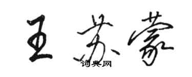 骆恒光王苏蒙行书个性签名怎么写