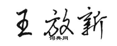 骆恒光王放新行书个性签名怎么写