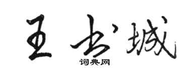 骆恒光王书城行书个性签名怎么写
