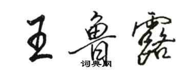 骆恒光王鲁露行书个性签名怎么写