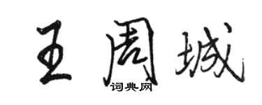 骆恒光王周城行书个性签名怎么写