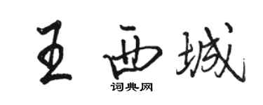 骆恒光王西城行书个性签名怎么写
