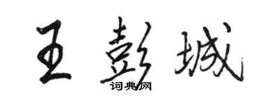 骆恒光王彭城行书个性签名怎么写