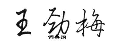 骆恒光王劲梅行书个性签名怎么写