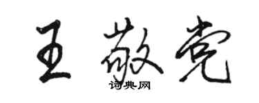 骆恒光王敬党行书个性签名怎么写