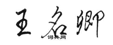 骆恒光王名卿行书个性签名怎么写