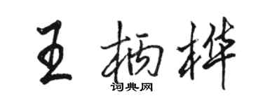 骆恒光王柄桦行书个性签名怎么写