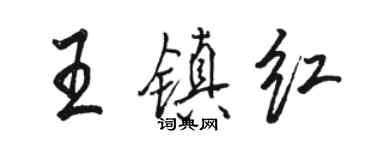 骆恒光王镇红行书个性签名怎么写
