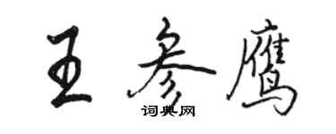 骆恒光王参鹰行书个性签名怎么写