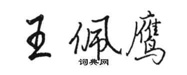 骆恒光王佩鹰行书个性签名怎么写