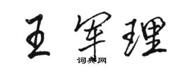 骆恒光王军理行书个性签名怎么写