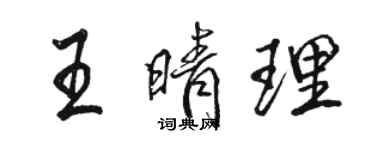 骆恒光王晴理行书个性签名怎么写