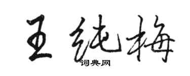 骆恒光王纯梅行书个性签名怎么写