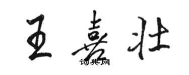 骆恒光王喜壮行书个性签名怎么写