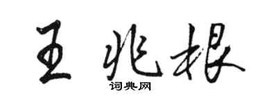 骆恒光王兆根行书个性签名怎么写
