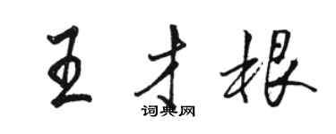 骆恒光王才根行书个性签名怎么写