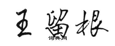 骆恒光王留根行书个性签名怎么写
