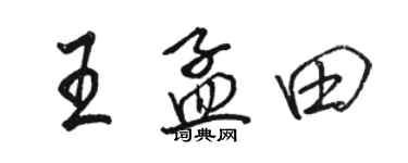 骆恒光王孟田行书个性签名怎么写